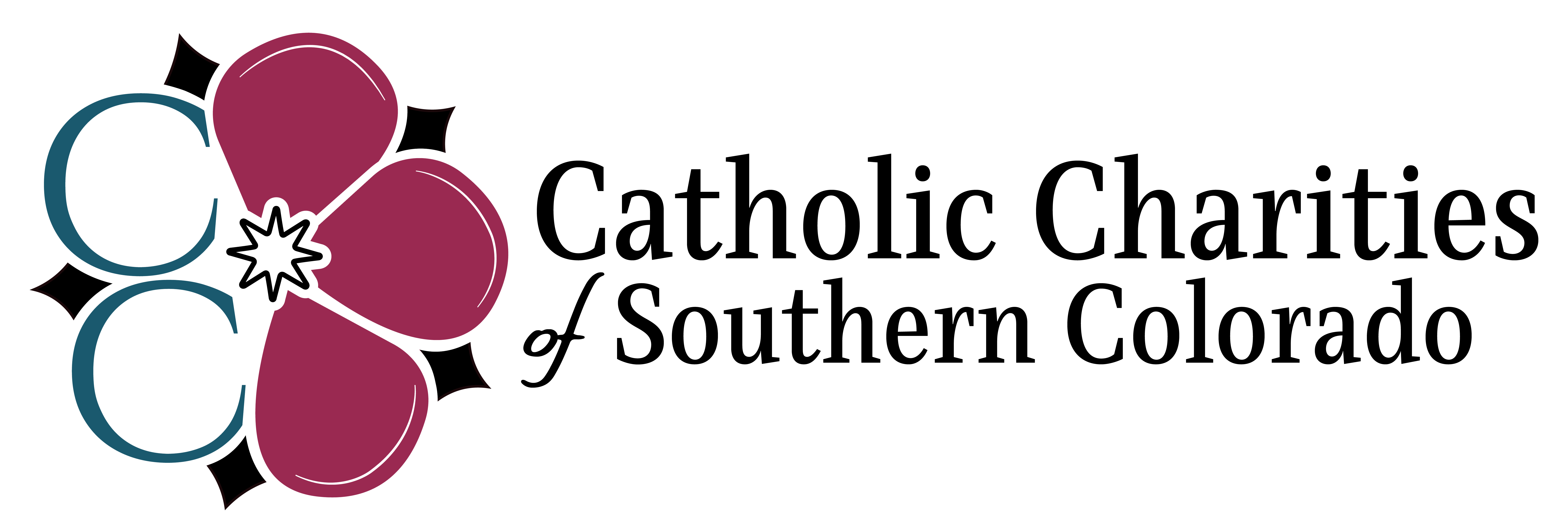 Color Horizontal logo